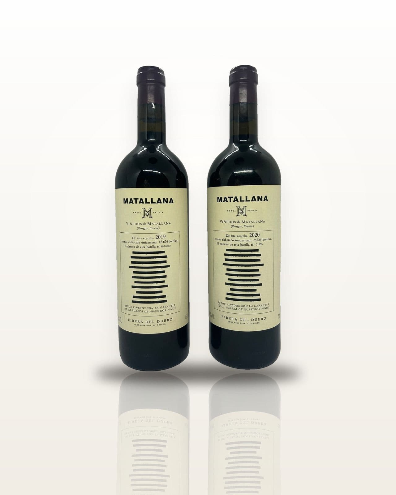 Telmo Rodríguez Matallana · Vertical 2019–2020 2019